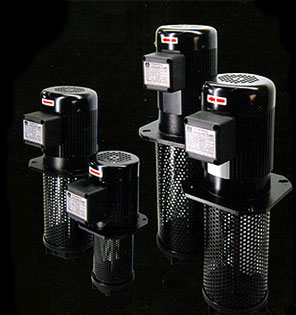 YU HSENG pumps