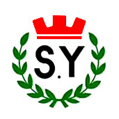 sy двигатели